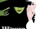 Wicked / O.C.R. - Wicked (Original Cast Recording) [New Vinyl LP]
