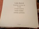 Annie Lennox - Little Bird 12