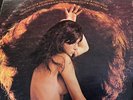 Hair The 32 Flavors Vinyl