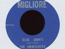 Garage 45 - The Amberjacks Hey Eriq  / Blue Jaunte on Migliore RARE Orig HEAR