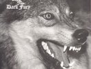 DARK FURY (Pol) Carnivore 7