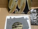 The Locust ‎”Flight Of The Wounded Locust” 4 7” Vinyl - USED - Puzzle Shaped
