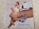 Sonic Youth A Thousand Leaves Record Vinyl Double LP 12”