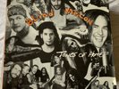 Blind Melon, Tones Of Home E.P. 12