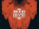 The Buffalo Skinners [Deluxe] by Big Country (180g Vinyl, 2021, 2LP, Chrysalis)