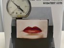 Red Hot Chili Peppers - Greatest Hits [180g LP Vinyl Record Album]