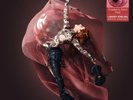 Lindsey Stirling - Brave Enough - LP