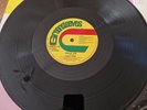 Half Pint - Freedom Fighter / Hold On - 12