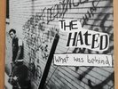 THE HATED What was behind LP Vermin Scum recs MOSS ICON emo