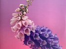 Flume - Skin - DOWNTEMPO *COLOR* NEW VINYL