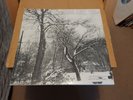 BRUCE COCKBURN.HIGH WINDS WHITE SKY.GFD LP.TRUE NORTH TN3.CANADA.