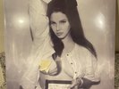 Lana Del Rey Exclusive Tunnel Under Ocean Blvd NUDE Alternative Art Vinyl LP