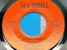 Sugarhill Gang Rapper's Delight 45 Rap Hip Hop Promo Long and Short Version VG+