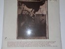 Pixies Surfer Rosa 1st press original UK LP