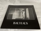 Bauhaus - In The Flat Field [Used Very Good Vinyl LP] Record