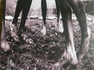 Vs. [Remastered] by Pearl Jam (Record, 2011)