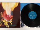 Adorable Against Perfection Vinyl Lp UK 1993 1st Press CREATION CRELP 138 NM/EX