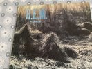 REM Murmur LP