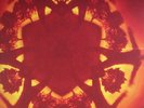Boards Of Canada ‎- Geogaddi 3 x LP - Triple Vinyl Album - SEALED NEW RECORD