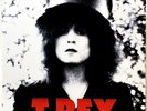 T. Rex – The Slider • LP Vinyl Record