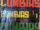 LOS GAVILANES DE LA COSTA • LUCHO CAMPILLO • ANDRES LANDERO “ LP VG Cumbias Hits