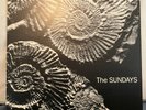 The Sundays 'Reading, Writing and Arithmetic' Original Picture Disc Vinyl MINT