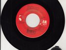 GIN BLOSSOMS  Allison Road 7