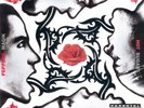 RED HOT CHILI PEPPERS BLOOD SUGAR SEX MAGIK NEW LP