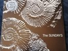 The Sundays Reading, Writing and Arithmetic. Printed Picture Disc Vinyl. Rare.