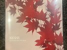 somewhere only we know 7” red vinyl - keane