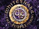 Whitesnake The Purple Album: Special Gold Edition (Vinyl)