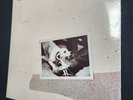 Fleetwood Mac - Tusk.  New Sealed Original Pressing. Mint Condition