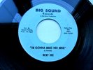 RICKY DEE - I'M GONNA MAKE HER MINE - DETROIT GARAGE Big Sound EX 45 RPM RECORD