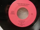 1985 GUNNER LOVE ON THE ROXX 45 private detroit heavy metal hard rock hair glam