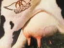 Aerosmith Get A Grip Double LP Album 12” Vinyl Records ** Near Mint **NM