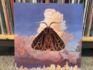 Chairlift Moth LP Vinyl First Pressing w/poster NM Caroline Polachek 