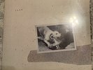 Fleetwood Mac ‎– Tusk Lp SEALED Original Press 1979 2HS 3350 Embossed Sleeve