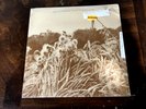 Eyeless In Gaza- Back From The Rains- LP 1986 Cherry Red Bred 69 UK Sealed