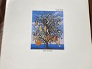 Talk Talk - Spirit Of Eden LP Original