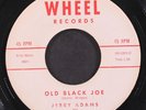 Jerry Adams : Old Black Joe Rad 7 
