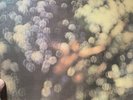 PINK FLOYD LP OBSCURED BY CLOUDS SHSP 4020 1972 EMI LOGO ON LABEL UK Record