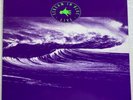 Midnight Oil - Scream in Blue - near mint - OIS