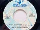 VIBRATING VIBRATIONS Right On Brother 1970 Neptune Records RARE Northern Soul 45