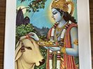Radha Krishna Temple Govinda Apple 1821 w/RARE PS  Beatles George Harrison