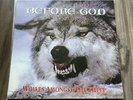 Before God Wolves Amongst Sheep LP 2001