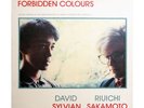 David Sylvian + Ryuichi Sakamoto : Forbidden Colours 12