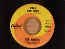 The Honeys Pray For Surf/Hide Go Seek  1963 Brian Wilson Beach Boys Girl Group