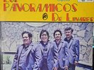 Los Panoramicos de Linares *Discos Viva* / RANCHERO & NORTEÑO / LP VG+ RARE