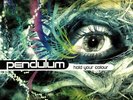 PENDULUM - Hold Your Colour - Vinyl (3xLP)