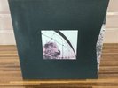 Pearl Jam Vs / Vitalogy Deluxe Collectors Vinyl Box Set M/NM